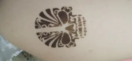 حنا طراحی و شابلون تتو موقت مدل S03 مجموعه 14 عددی