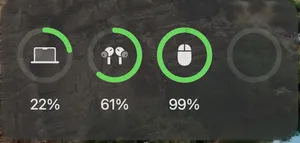 تجریه خرید ماوس بی سیم رپو مدل M100 Silent