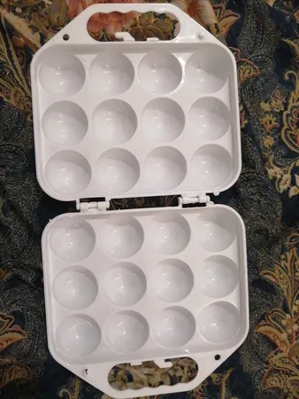 ظرف نگهدارنده تخم مرغ مدل نیکسون