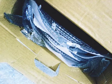 پیش دستی بلور کاوه مدل ونیز 1080 بسته 6 عددی