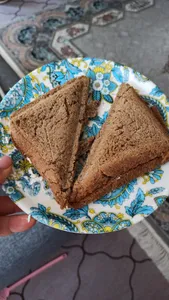 تجریه خرید ساندویچ ساز گوسونیک مدل GSM 605