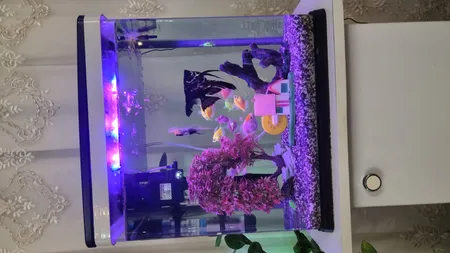 کلبه حباب ساز تزیینی آکواریوم کد 0011