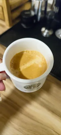 اسپرسو ساز 1.1 لیتری دلونگی مدل EC885M