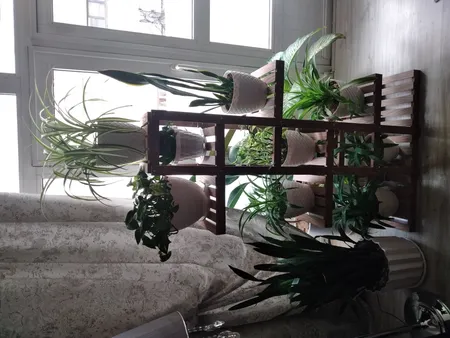 استند گلدان مدل A3