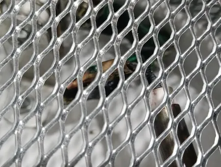 کرسی برقی ماها سازه مدل W500