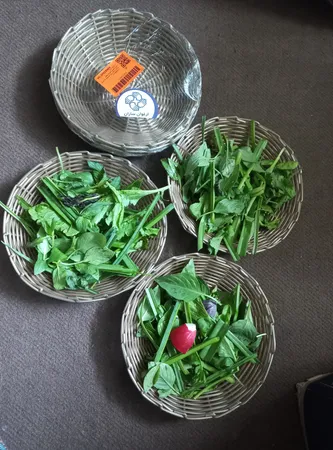 سبد حصیر بافی ارغوان سازان مدل ترمه مجموعه 3 عددی