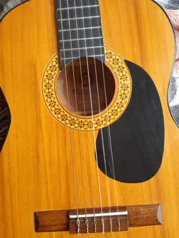 گلپیدور گیتار مدل R11