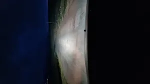 تجریه خرید هدلایت ام زد ام مدلD300-h1 بسته دو عددی