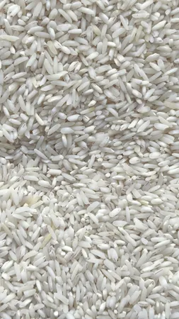 برنج هاشمی خوشپخت گیلان - 10 کیلوگرم