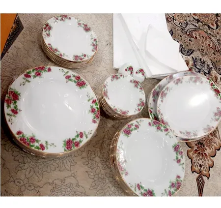 سرویس غذاخوری 28 پارچه 6 نفر چینی زرین ایران مدل ایتالیا اف بیدگل درجه عالی