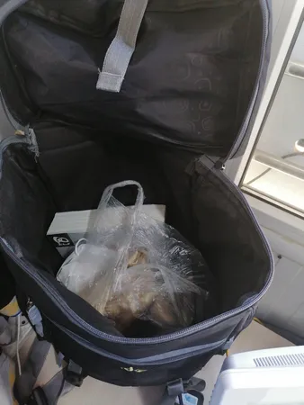 کوله پشتی کوهنوردی 45 لیتری فوروارد کد FCLT8019