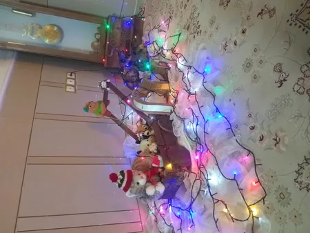 ریسه ال ای دی روژ کد  به طول 25 متر