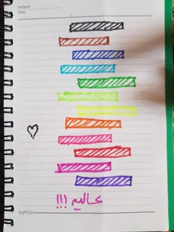 ماژیک رنگ آمیزی 12 رنگ هپو مدل rs کد 3030