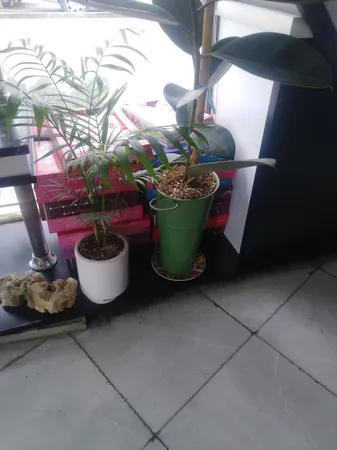 گلدان مدل تورینگ 30