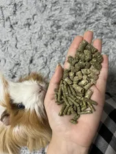 تجریه خرید غذای پلت کامل خرگوش یادگار مدل 3314 وزن 1000 گرم