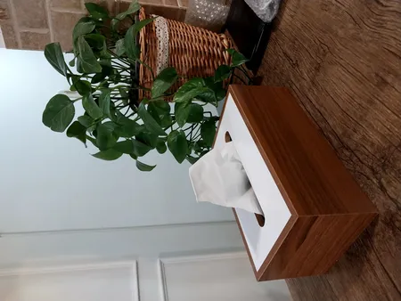 جعبه دستمال کاغذی رایکا مدل AT1035