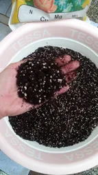 کوکوپیت و پیت ماس رویش مدل CC-MAS-3k کد Pack-01 مجموعه 3 عددی