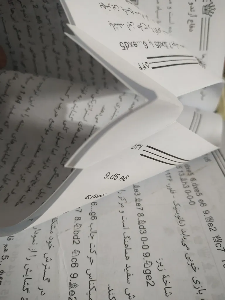 کتاب مایزلیس، تئوری بنیادی شطرنج اثر مایزلیس ایلیالوویچ