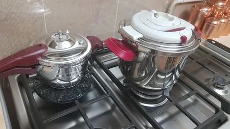 زود پز نیولند مدل NL-2130 گنجایش 2 لیتر