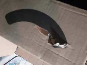 تجریه خرید کارتریج کانن مدل KP-108IN