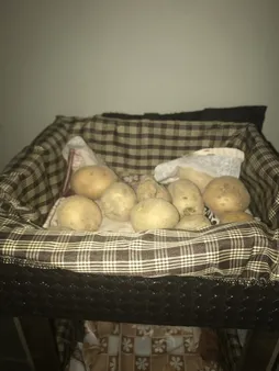 سبد سیب زمینی و پیاز مدل L02