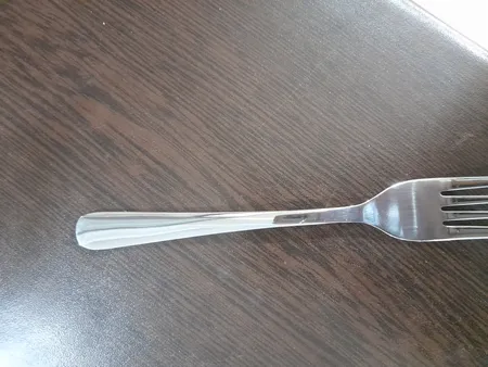 سرویس قاشق و چنگال 12 پارچه صنایع استیل ایران مدل مونزا کد 101