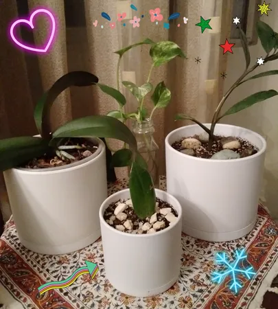 گلدان طرح استوانه مدل مهرنی 10-103