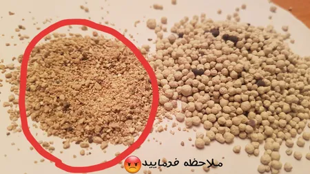 خاک بستر گربه تاینی کت مدل P1 وزن 10 کیلوگرم