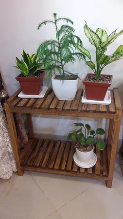 استند گلدان مدل 65