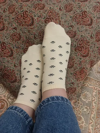 جوراب زنانه پاوین مدل پنجه گربه 05 مجموعه 6 عددی