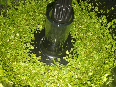 غذاساز تولیپس مدل FP-A460