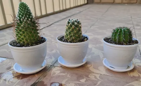 گلدان کلاسیک مدل G3010 بسته 6 عددی