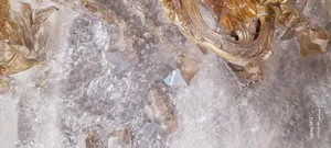 تجریه خرید لوستر 8 شعله شاهان تک کد K.6026