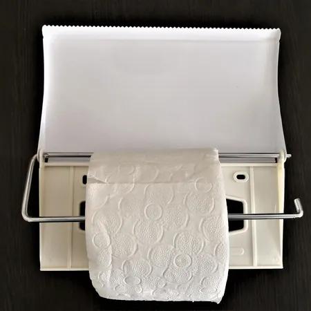 پایه رول دستمال کاغدی مدل Big Sleek