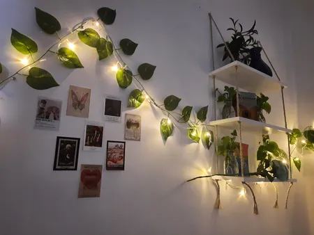 قفسه مدل سه طبقه کد i5017