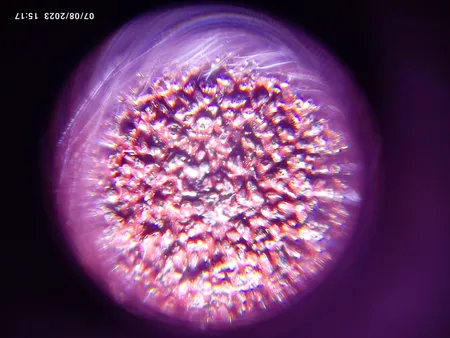 میکروسکوپ جیبی مدل 9592