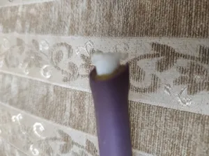 تجریه خرید کش ورزشی تن زیب مدل SuperStrong200