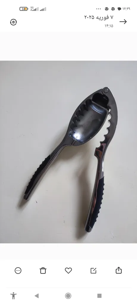 گردو شکن شنگیا مدل استیل E0980