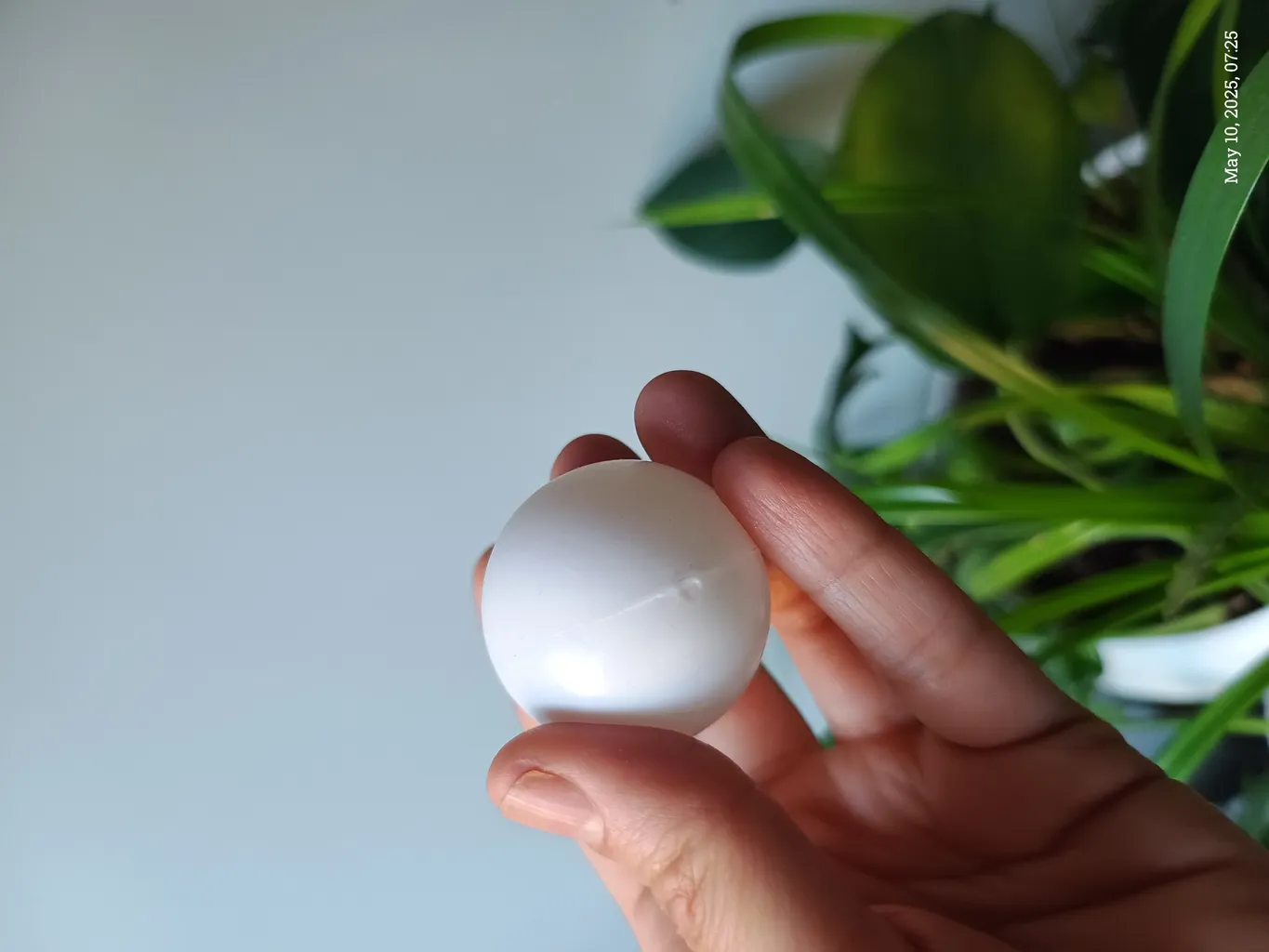 توپ پینگ پنگ شیلد مدل 1840E بسته 6 عددی