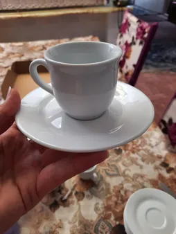 ست فنجان و نعلبکی 12 پارچه شرکت صنایع چینی تقدیس مدل RL60