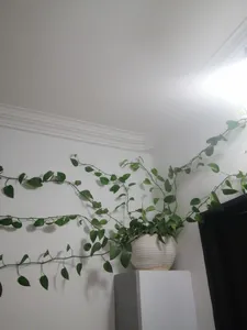 تجریه خرید گیره مدل پتوس کد G20 بسته 20 عددی