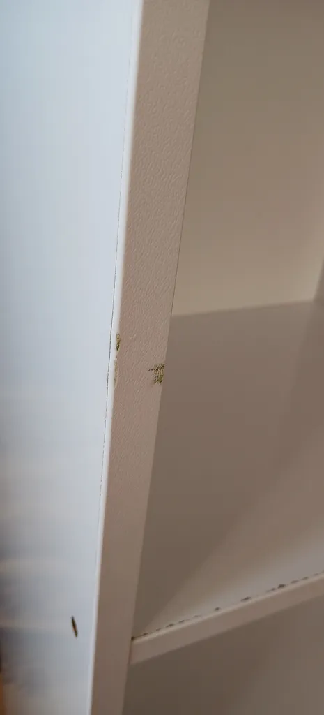 کتابخانه مدل IKE4404