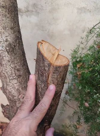 اره تاشو توتال مدل 1806