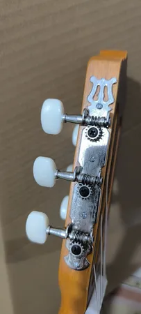 گیتار پارسی مدل M5 cut