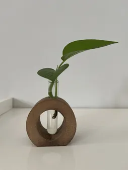 گلدان دکوری مدل 01