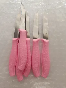 تجریه خرید کارد میوه خوری بیوتی مدل B001 بسته 6 عددی