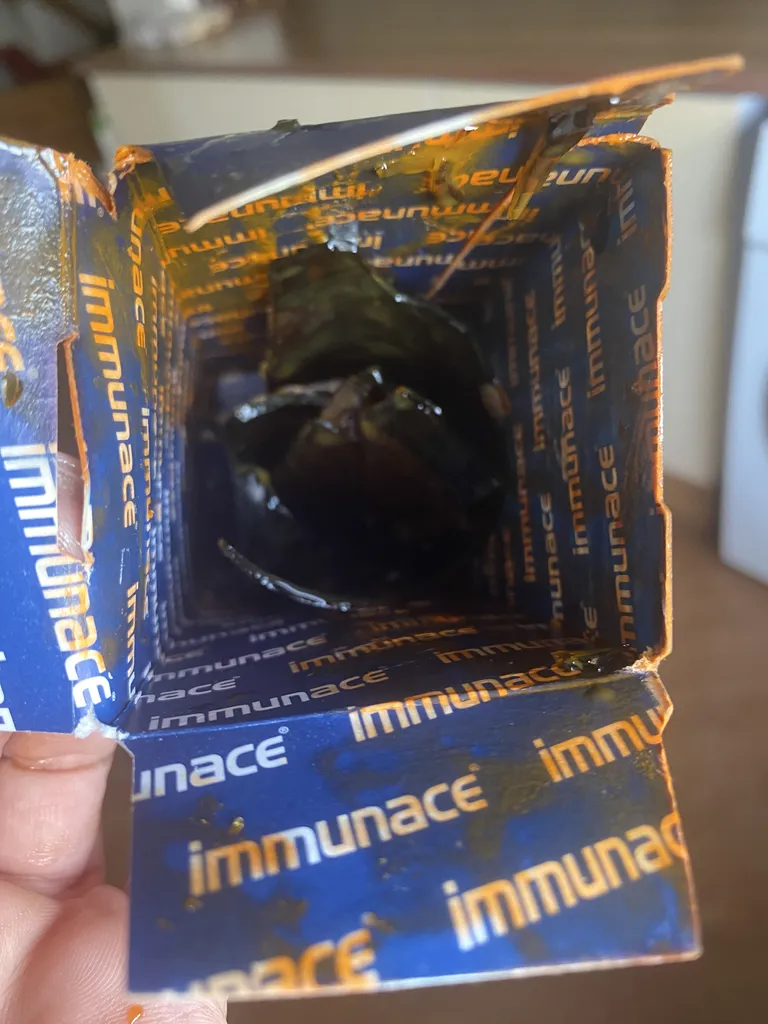 شربت ایمیونس ویتابیوتیکس - 200 میلی لیتر