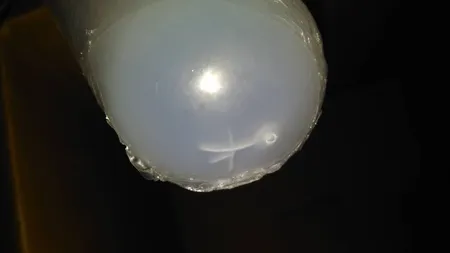 فیلتر دوار مدل آرمان مناسب برای انواع جاروبرقی