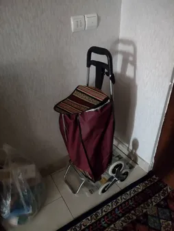 چرخ خرید ادریک مدل پله رو