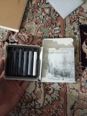 زغال طراحی پژواک کد 82496 بسته 6 عددی